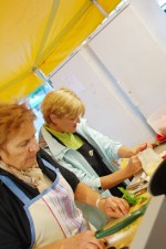 articlezinades2010260711